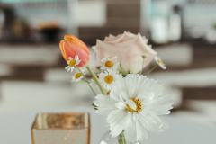 heather-david-san-diego-2023-031-khoa-photography